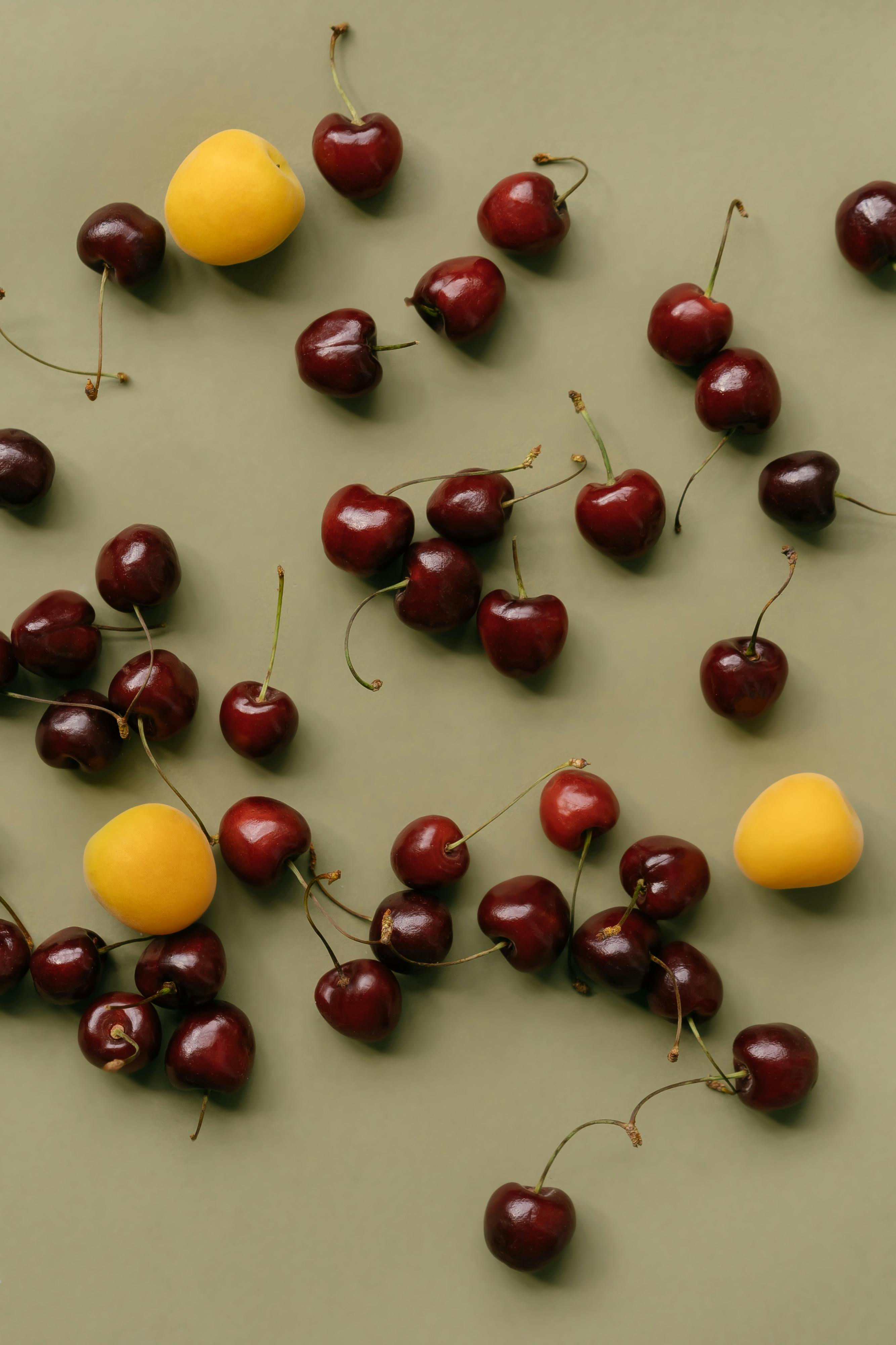 Food & Healthcare Ingredients